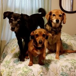 Meet your Posher, Michele